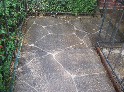 stained concrete walk