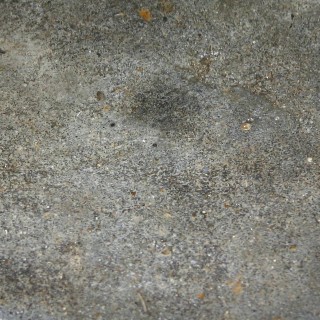 Weathered Wood