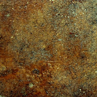 Western Brown
